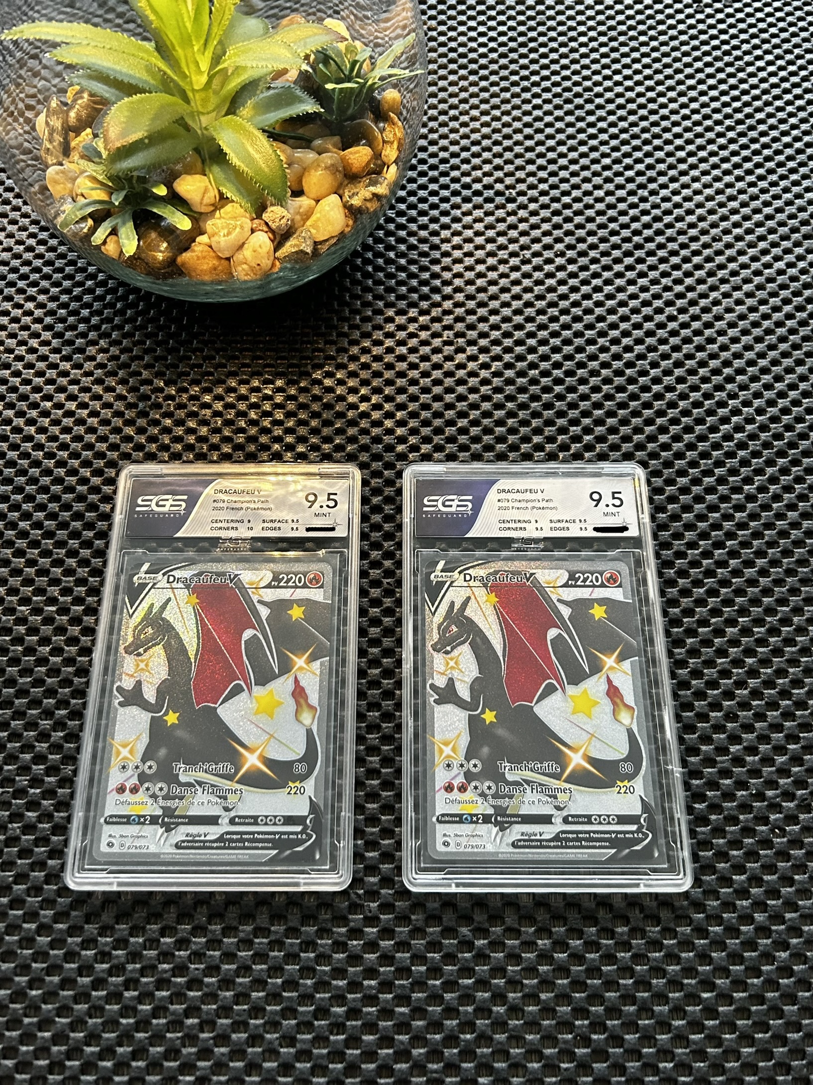 C0501212-F6FD-4BB8-BDED-41F75419BDEC