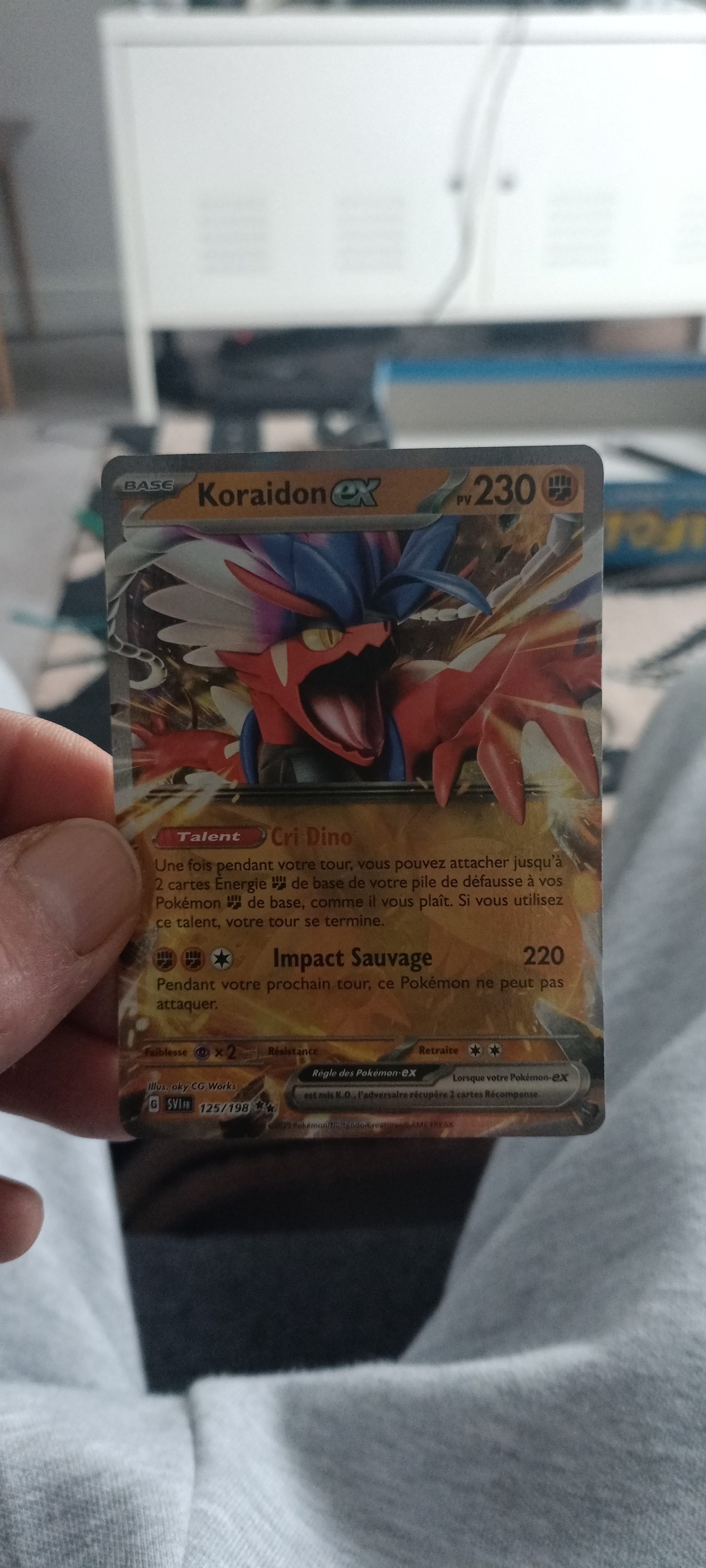 17088595401023046741505042645786